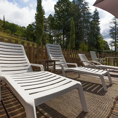 Charming Holiday In Pul-l'eveque With Private Pool *